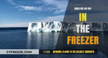 The Surprising Truth About Ice Shelf Life in Your Freezer