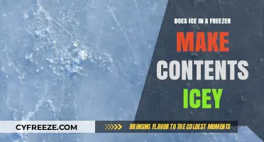 Chill Factor: How Freezer Ice Impacts Your Food's Texture