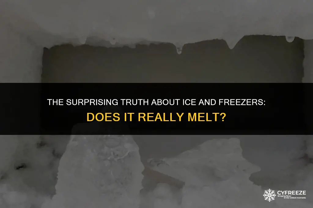 does ice melt in a freezer