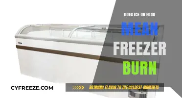 The Truth About Ice on Food: Freezer Burn Myths Debunked