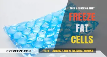 Chilling Truth: Can Ice Packs Really Freeze Away Belly Fat?