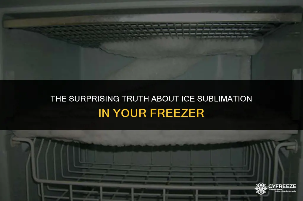 does ice sublimate in freezer