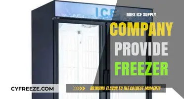 Cool Solutions: Exploring Ice Supply Companies' Freezer Services