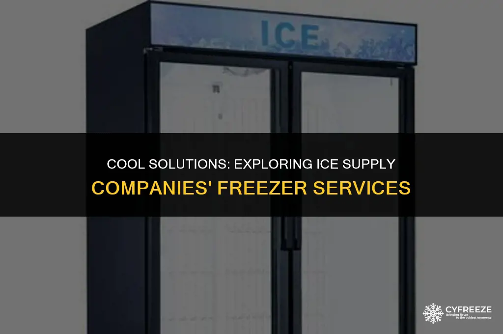 does ice supply company provide freezer