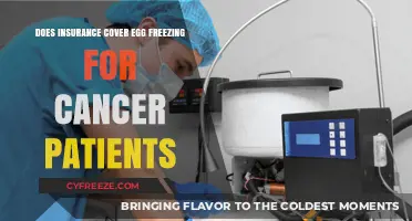 Insurance Coverage for Egg Freezing: Options for Cancer Patients