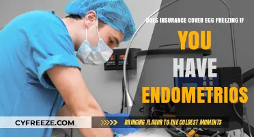 Does Insurance Cover Egg Freezing for Endometriosis Patients?
