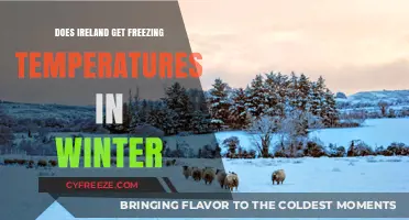 Ireland's Winter Chill: Do Freezing Temperatures Hit the Emerald Isle?