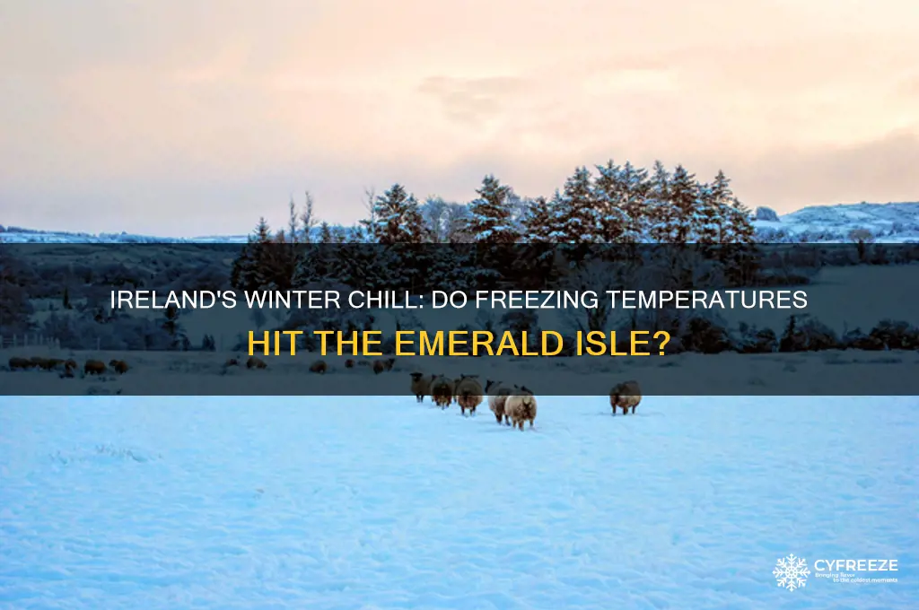 does ireland get freezing temperatures in winter