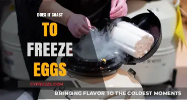Egg Freezing Costs: What You Need to Know Before Preserving Fertility
