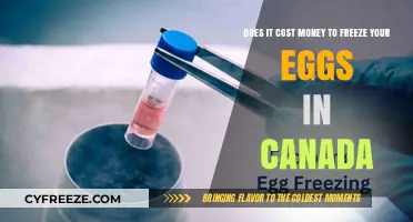 Egg Freezing Costs in Canada: What You Need to Know