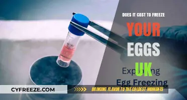 Egg Freezing Costs in the UK: What You Need to Know