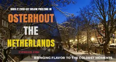 Osterhout's Winter Chill: Does Temperature Drop Below Freezing in the Netherlands?
