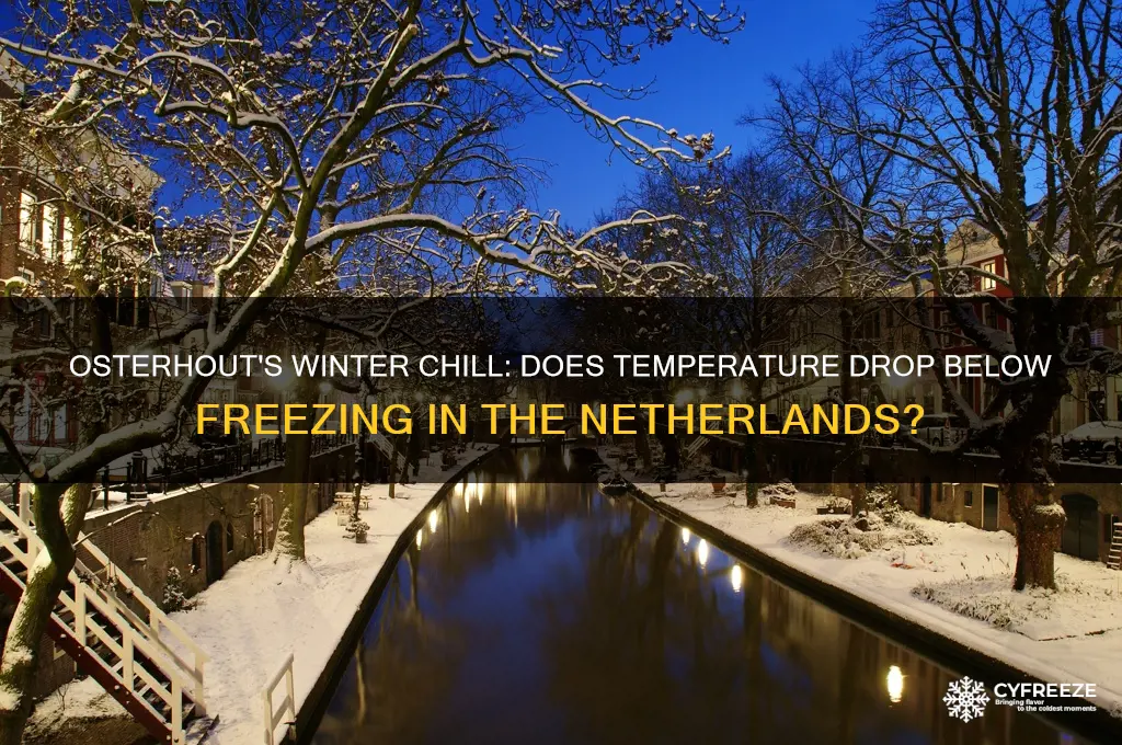 does it ever get below freezing in osterhout the netherlands