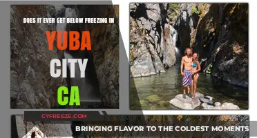 Yuba City's Winter Chill: Does It Ever Freeze in California's Heartland?