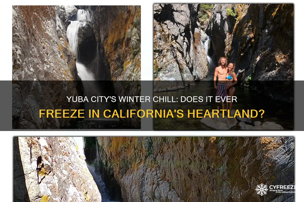 does it ever get below freezing in yuba city ca