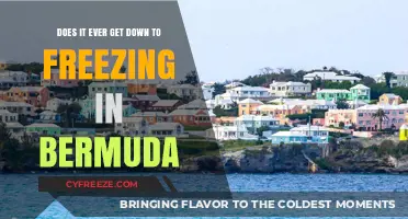 Bermuda's Winter Chill: Does Freezing Temperatures Ever Hit the Island?