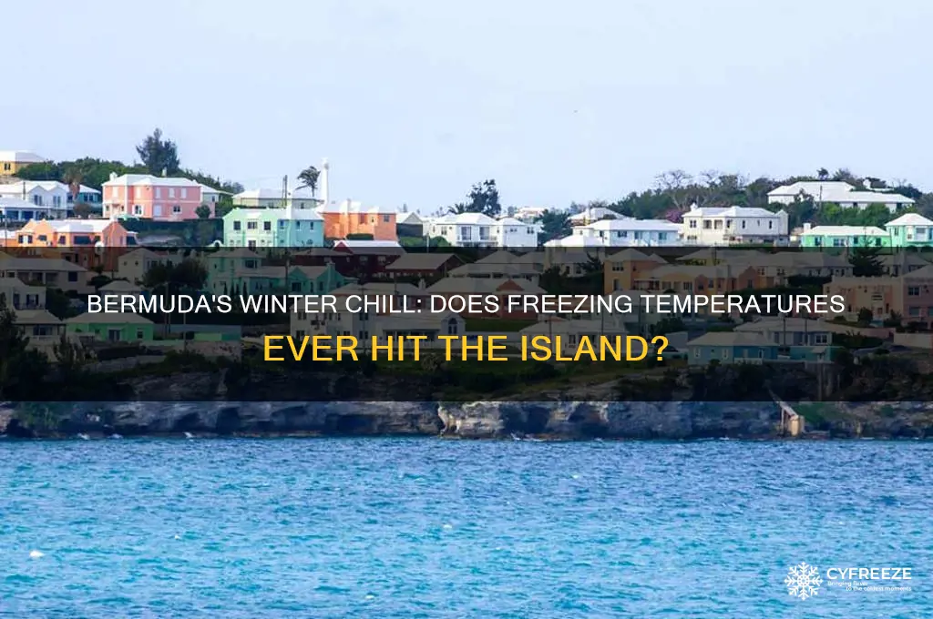 does it ever get down to freezing in bermuda