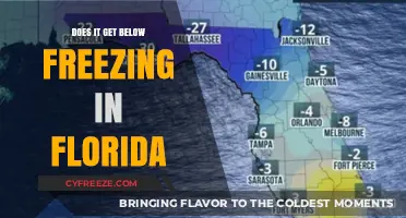 Florida's Winter Chill: Does It Ever Drop Below Freezing?