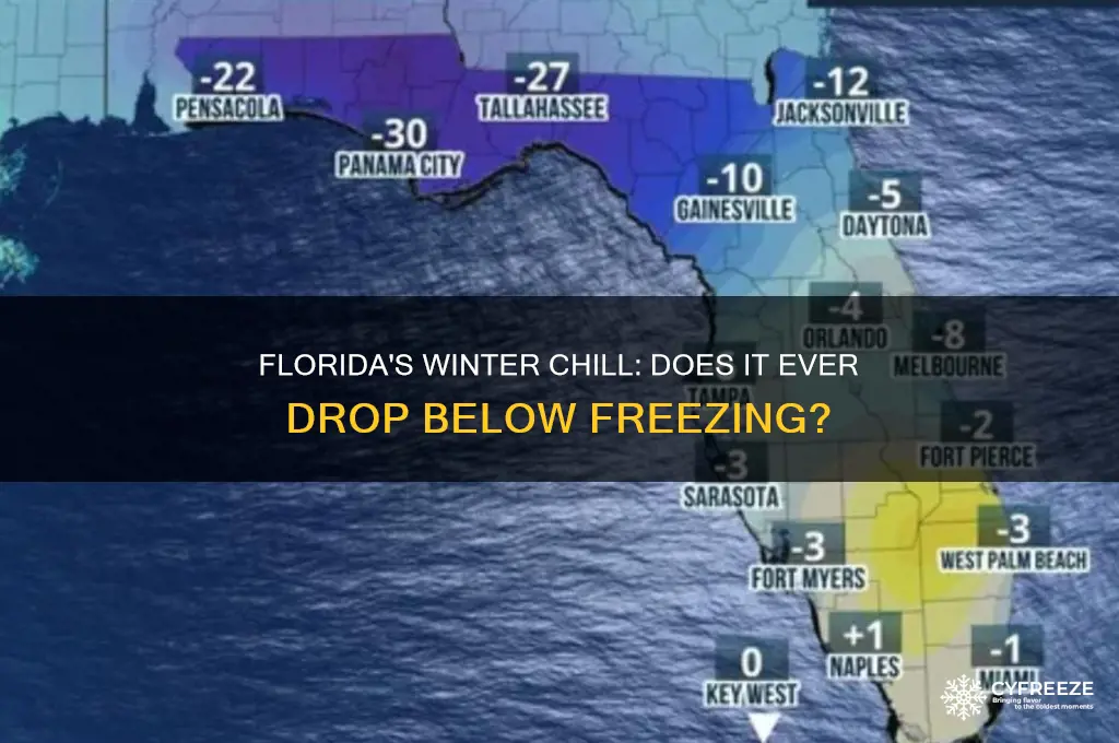does it get below freezing in florida
