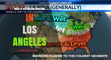Does LA Freeze? Exploring Winter Temperatures in Los Angeles