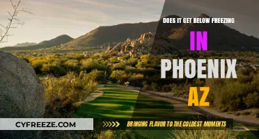 Phoenix AZ Winter Temperatures: Does It Ever Drop Below Freezing?