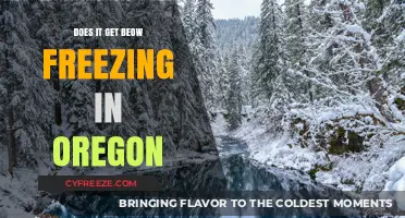 Oregon's Winter Chill: Does It Drop Below Freezing?