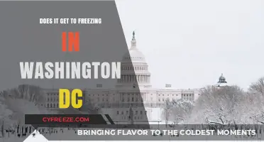 Does Washington DC Experience Freezing Temperatures in Winter?