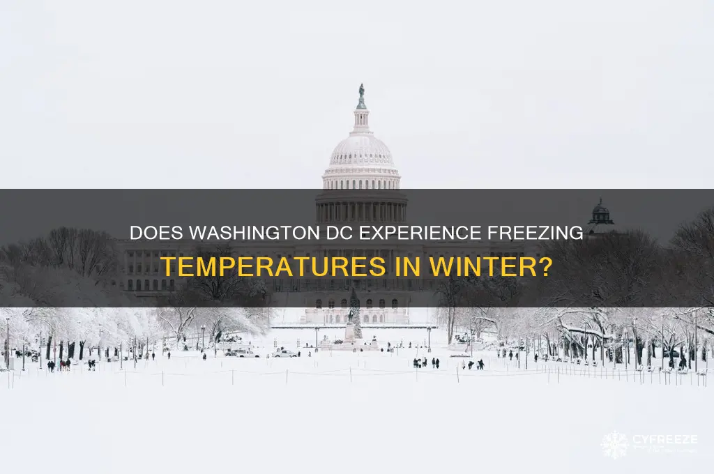 does it get to freezing in washington dc