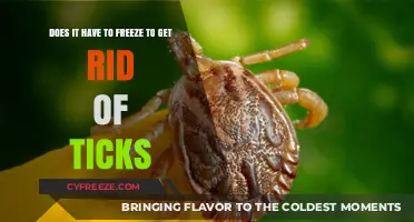 Freezing Ticks: Effective Method or Myth for Tick Elimination?