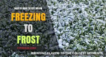 Frost Without Freezing: Understanding Cold Weather Conditions and Frost Formation