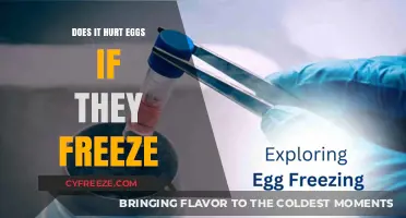Freezing Eggs: Does It Cause Damage or Affect Quality?