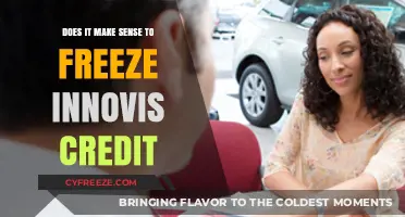 Evaluating the Pros and Cons of Freezing Your Innovis Credit Report