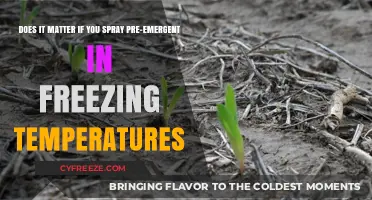 Pre-Emergent in Freezing Temps: Does Application Timing Impact Effectiveness?