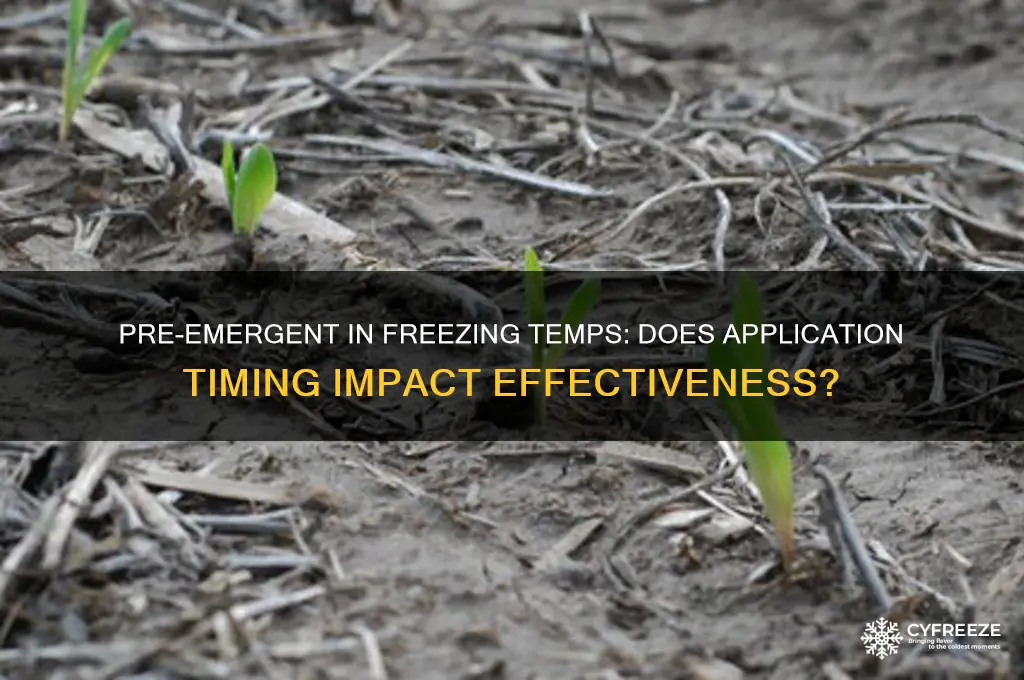 does it matter if you spray pre-emergent in freezing temperatures