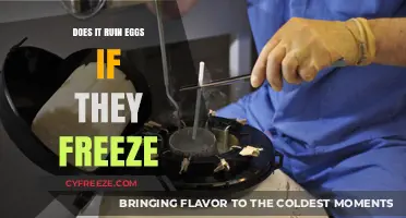 Can Eggs Survive the Freezer? Debunking Myths About Frozen Eggs