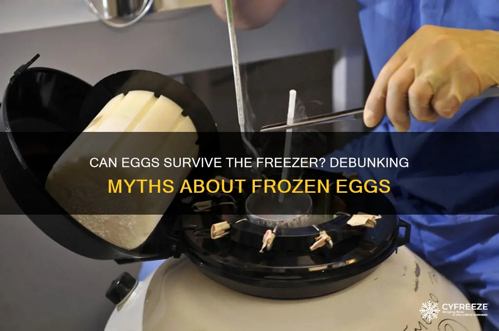 does it ruin eggs if they freeze