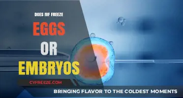 IVF Egg Freezing vs. Embryo Preservation: Understanding the Differences