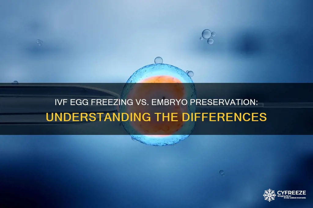 does ivf freeze eggs or embryos