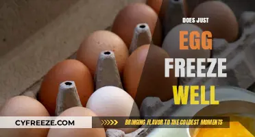Can You Freeze Just Egg? Tips for Storing Plant-Based Scrambles