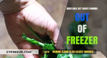 Does Frozen Kale Turn Soggy? Tips for Perfect Thawing