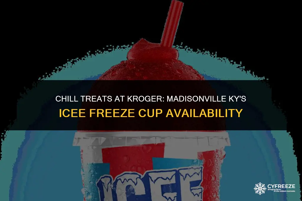 does kroger in madisonville ky carry icee freeze cups