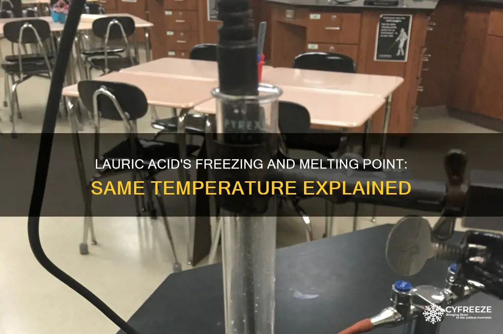 does lauric acid freeze and melt at the same temperature