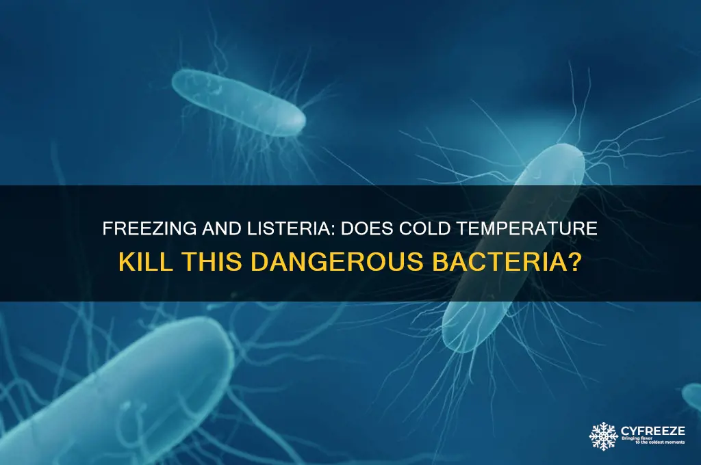 does listeria get killed by freezing