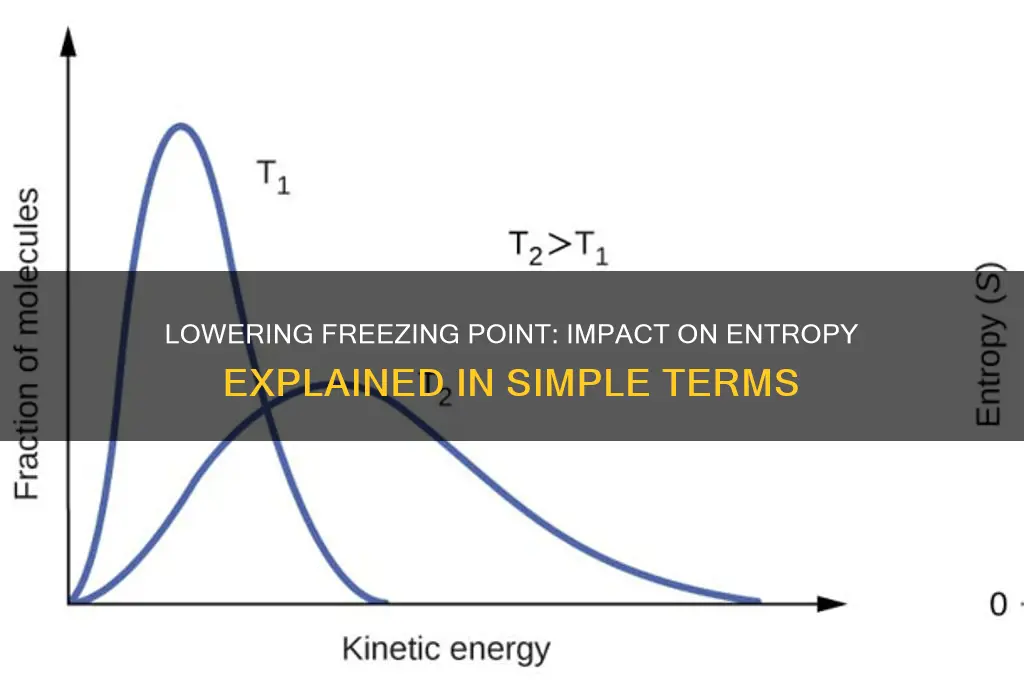 does lowering the freezing point lower entropy