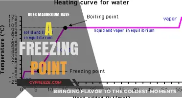 Exploring Magnesium's Freezing Point: Facts, Science, and Applications