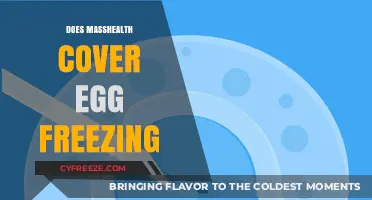 Does MassHealth Cover Egg Freezing? A Comprehensive Guide