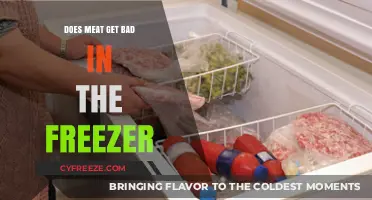 How Long Does Meat Last in the Freezer? A Guide