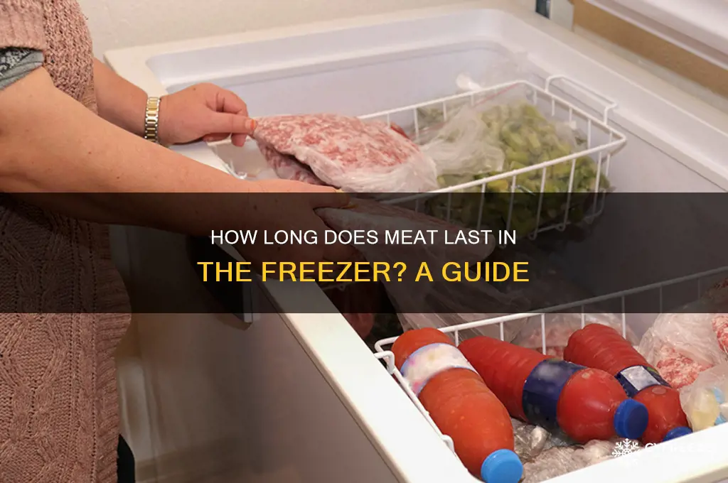 does meat get bad in the freezer