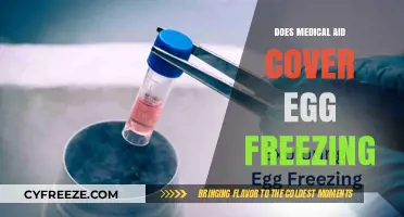 Egg Freezing Coverage: What Does Medical Aid Include?