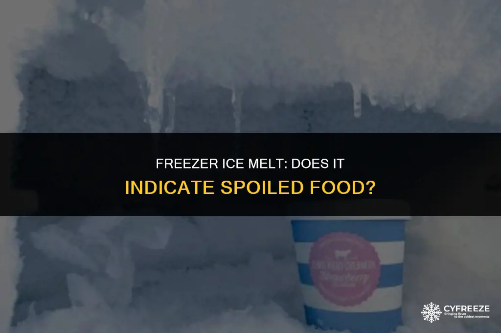 does melted ice from freezer mean food is bad